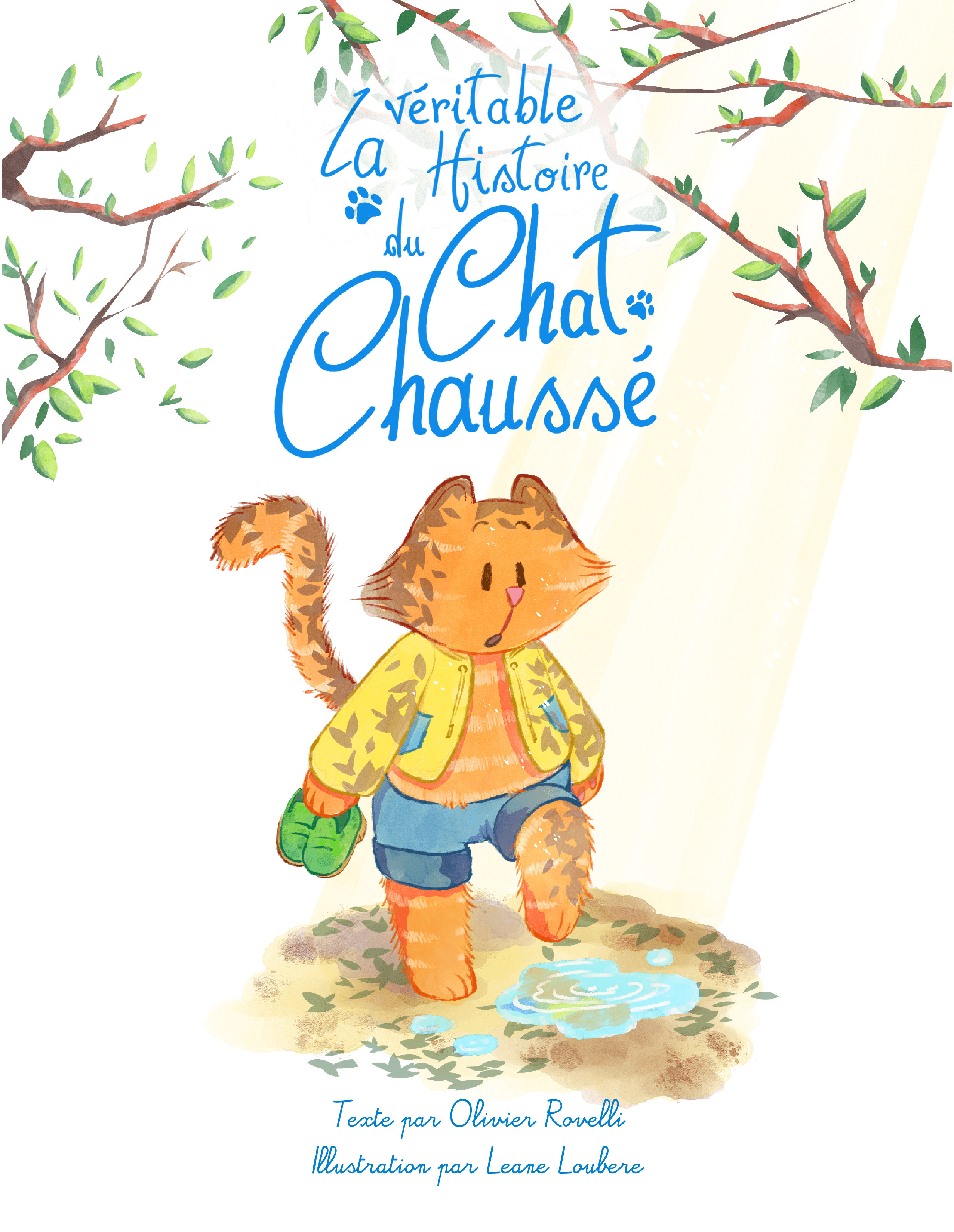 chat-chausse-1
