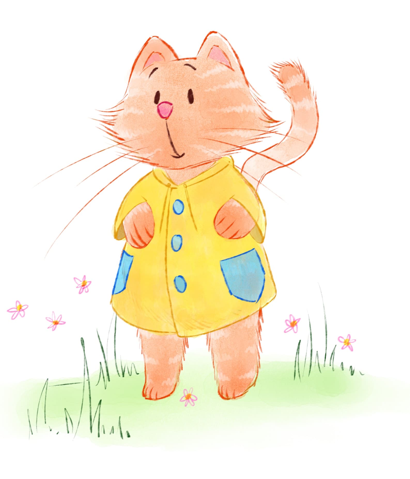 chat-chausse-3